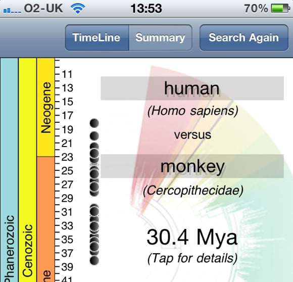 Screenshot from the Timetree app revealing that humans are related to monkeys.