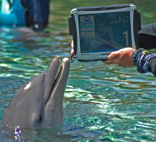 Panasonic Toughbook Dolphin