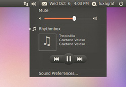 Ubuntu 10.10 sound panel