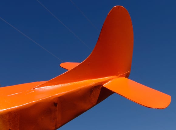 The tail is painted a striking orange