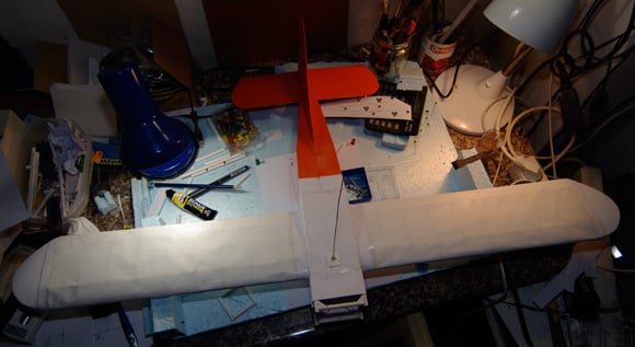 The finished fuselage, wings and tail
