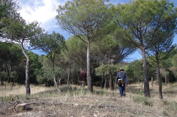 The team set off into the woods