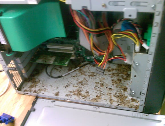 Mouse droppings inside PC case