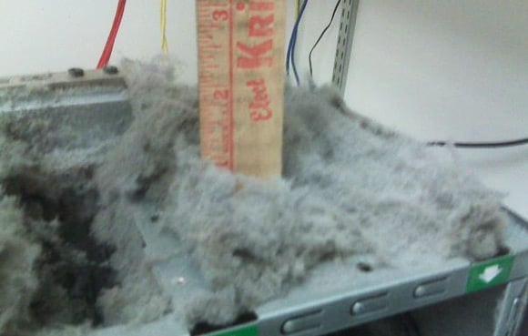 Ruler showing depth of fluff at one inch