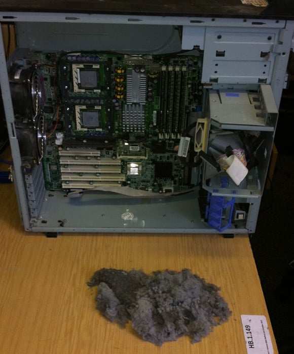 Large dust puppy removed from workstation