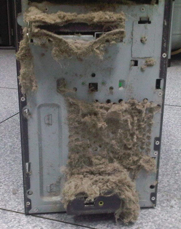 Back of PC case featuring major dust puppy