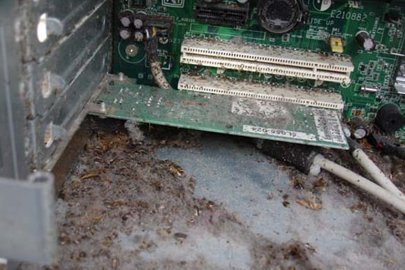 Another view of roaches inside PC