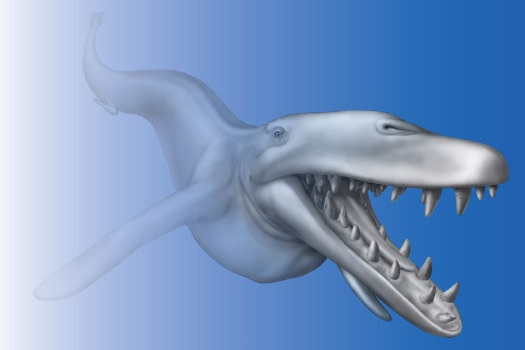 Basilosaurus Isis concept pic. Credit: UM