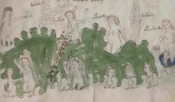 An illustration from the 'Voynich manuscript'
