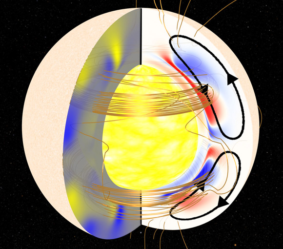 Cutaway graphic of the Sun showing the Great Conveyor Belt. Pic: Andrés Muñoz-Jaramillo