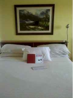 iPad2 and bed