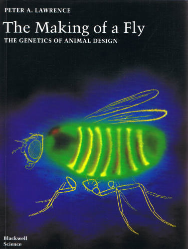 Cover of 'The Making of a Fly' by Peter A. Lawrence