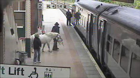 The man and his pony on the platform at Wrexham station