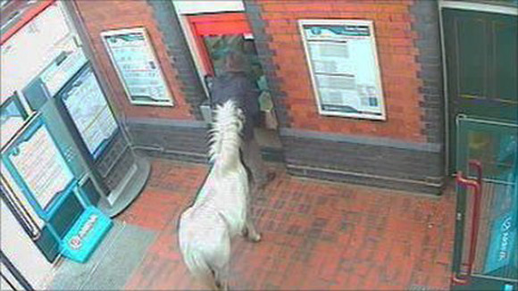 The man attempts to buy tickets for him and his pony