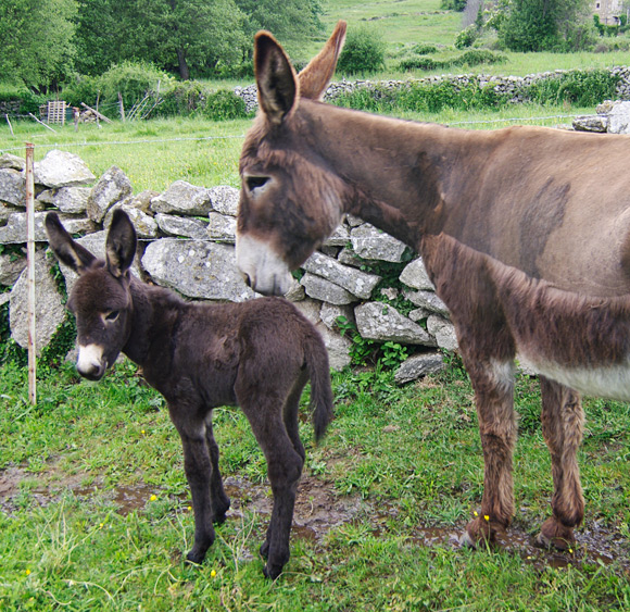 Reg hack's new jenny poses with mum