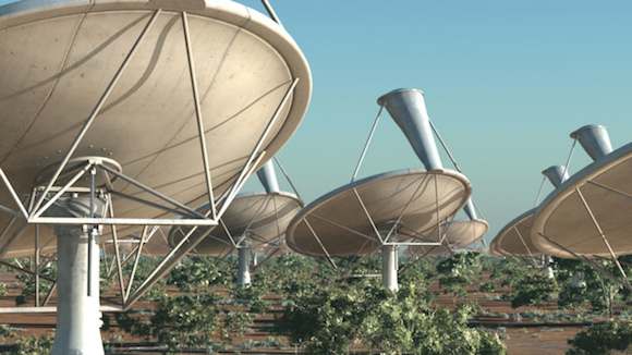 SKA antennas close-up - artist's impression