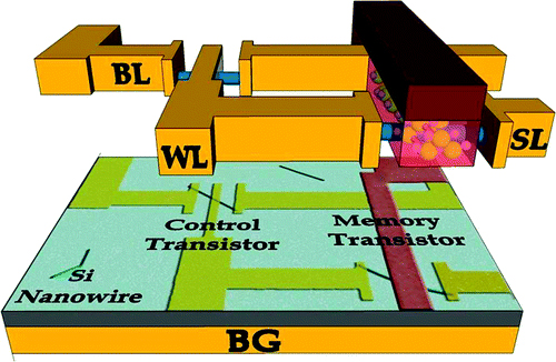 Organic Ferroelectric Material Based Novel Random Access Memory Cell