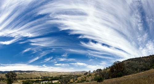 Cirrus clouds