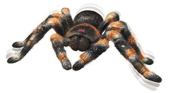 Radio Controlled Tarantula