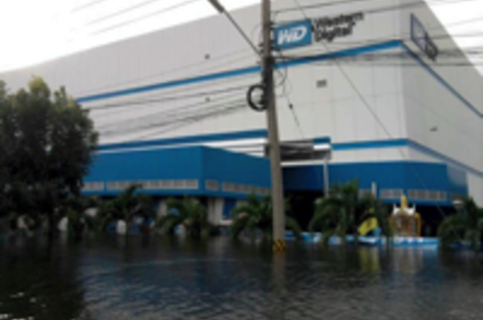 WD flood 2 thumb