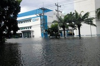 wd_thai_lake_3_small