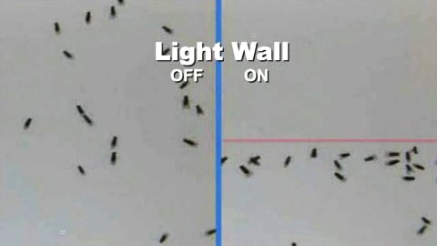 Laser-based 'light wall' repels mosquitoes