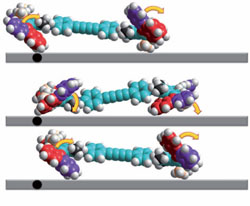 Molecular Car