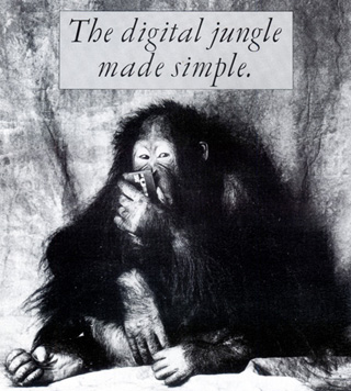 DIE digital jungle promo pic