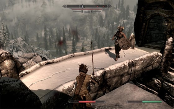 The Elder Scrolls V: Skyrim