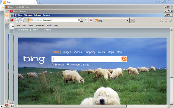 THE_BROWSER_SHEEP