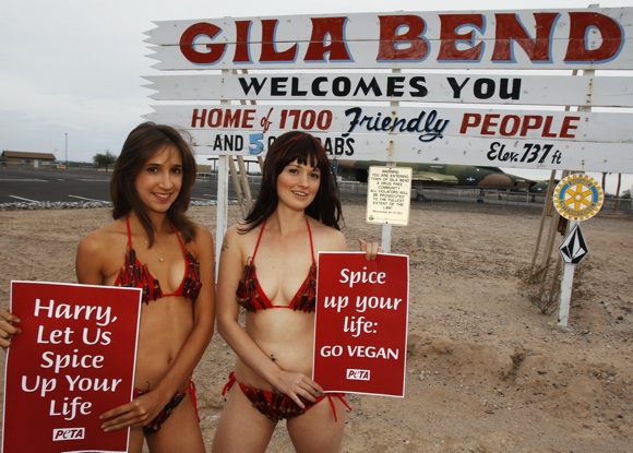 peta ops outside gila bend