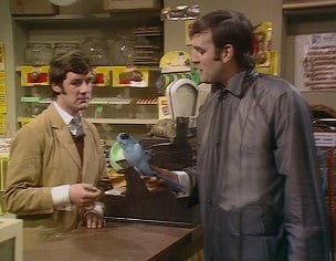 Monty Python Norwegian Blue dead parrot sketch