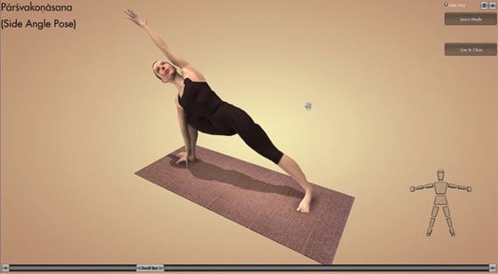 Interactive Yoga DVD