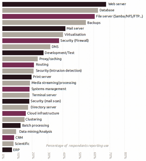 Ubuntu Server uses