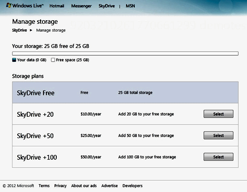 SkyDrive plans