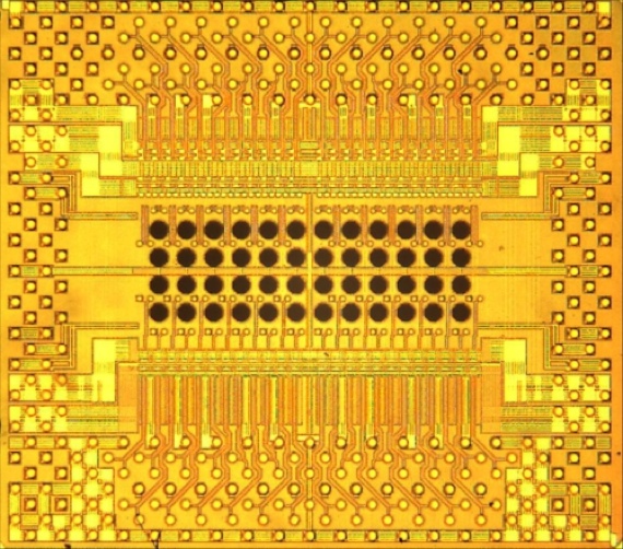 IBM Holey Optochip