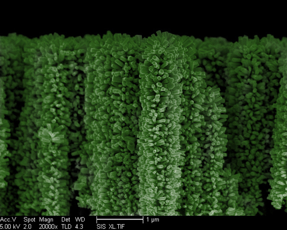 'Nanotree' hydrogen fuel generator