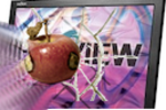 CRACKED_PROVIEW