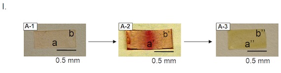 Healing plastic, Credit: Prof. Marek W. Urban, Ph.D.