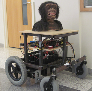 Robo Bonobo prototype