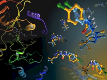 Cycle computing proteins