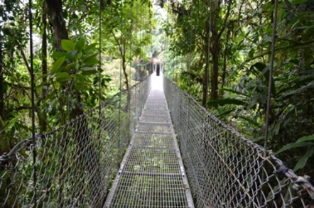 bridge_channel
