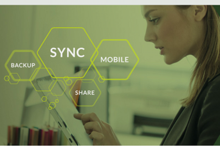 syncplicity_emc_channel biz logo do not use for pther stories