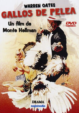 The cover of the Spanish DVD release of Cockfighter