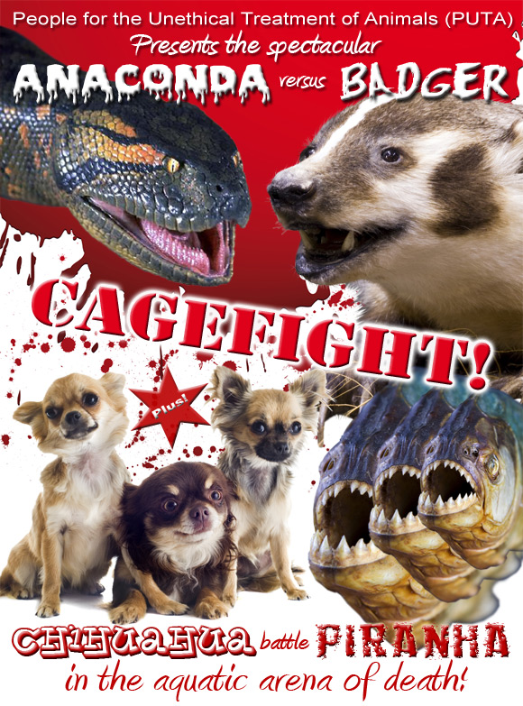 Our promotional poster for an anaconda versus badger cagefight