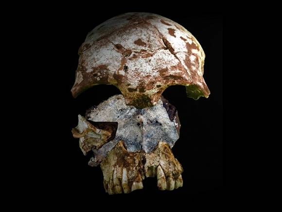 Ancient skull found in cave in northern Laos