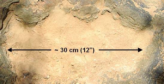 Footprint at undisclosed location. Credit: NASA