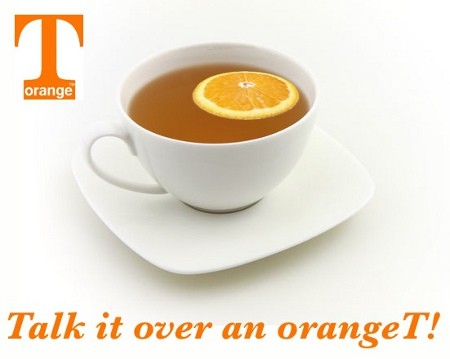 OrangeT logo