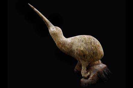 carving of kiwi