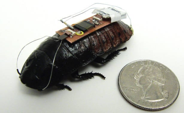Computer cockroach
